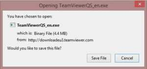 Download TeamViewer QuickSupport